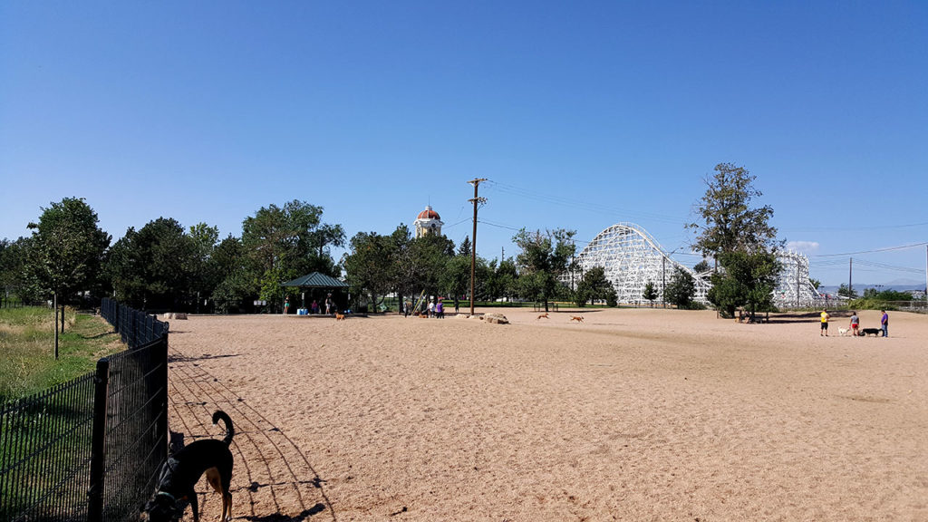 Berkeley Dog Park Dog Sci